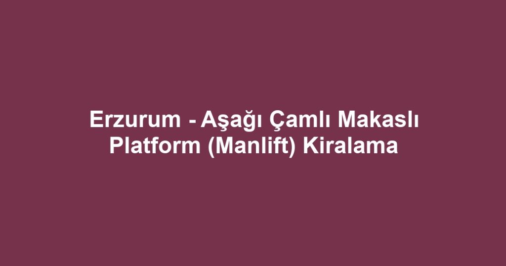 Erzurum - Aşağı Çamlı Makaslı Platform (Manlift) Kiralama