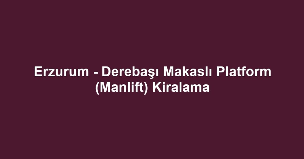 Erzurum - Derebaşı Makaslı Platform (Manlift) Kiralama