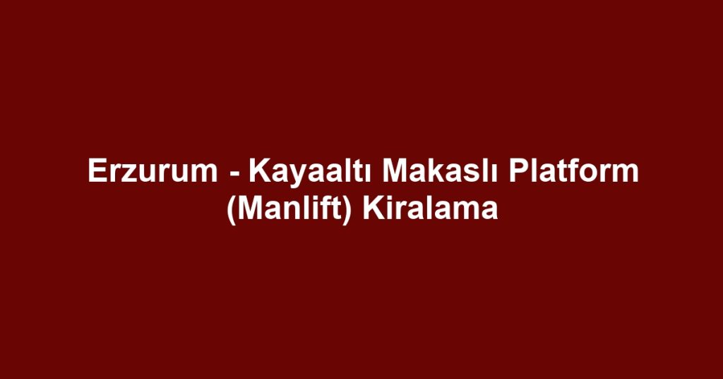 Erzurum - Kayaaltı Makaslı Platform (Manlift) Kiralama