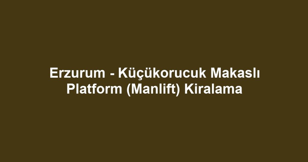 Erzurum - Küçükorucuk Makaslı Platform (Manlift) Kiralama
