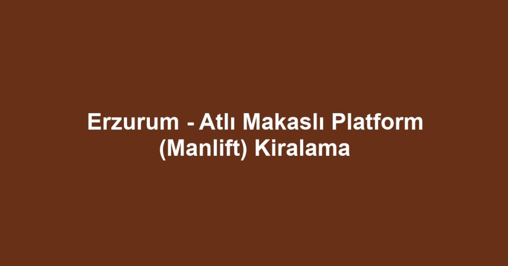 Erzurum - Atlı Makaslı Platform (Manlift) Kiralama