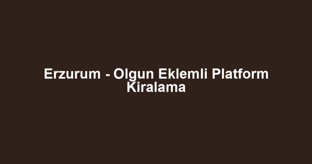 Erzurum - Olgun Eklemli Platform Kiralama