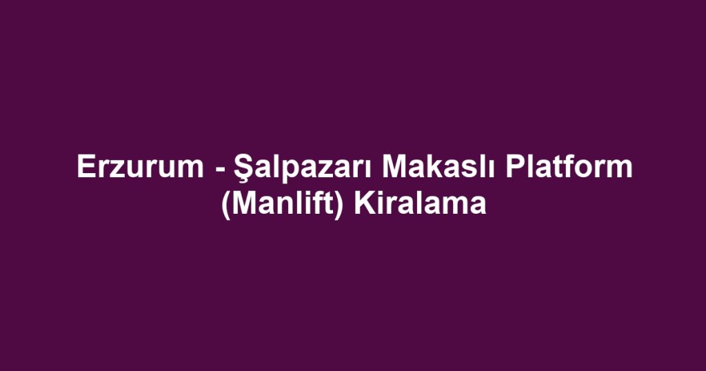 Erzurum - Şalpazarı Makaslı Platform (Manlift) Kiralama
