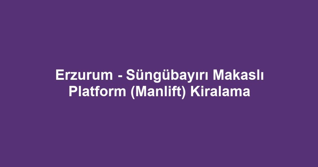 Erzurum - Süngübayırı Makaslı Platform (Manlift) Kiralama