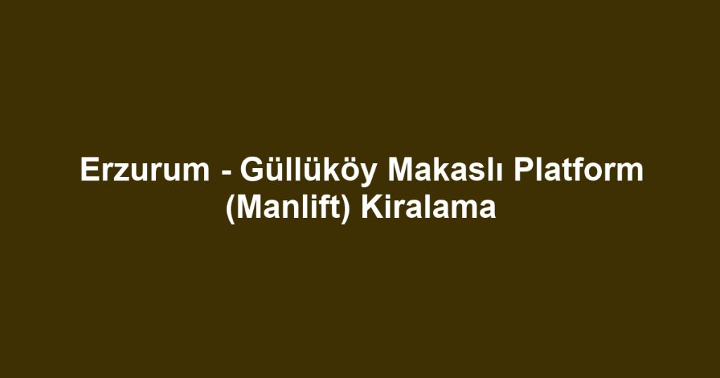 Erzurum - Güllüköy Makaslı Platform (Manlift) Kiralama