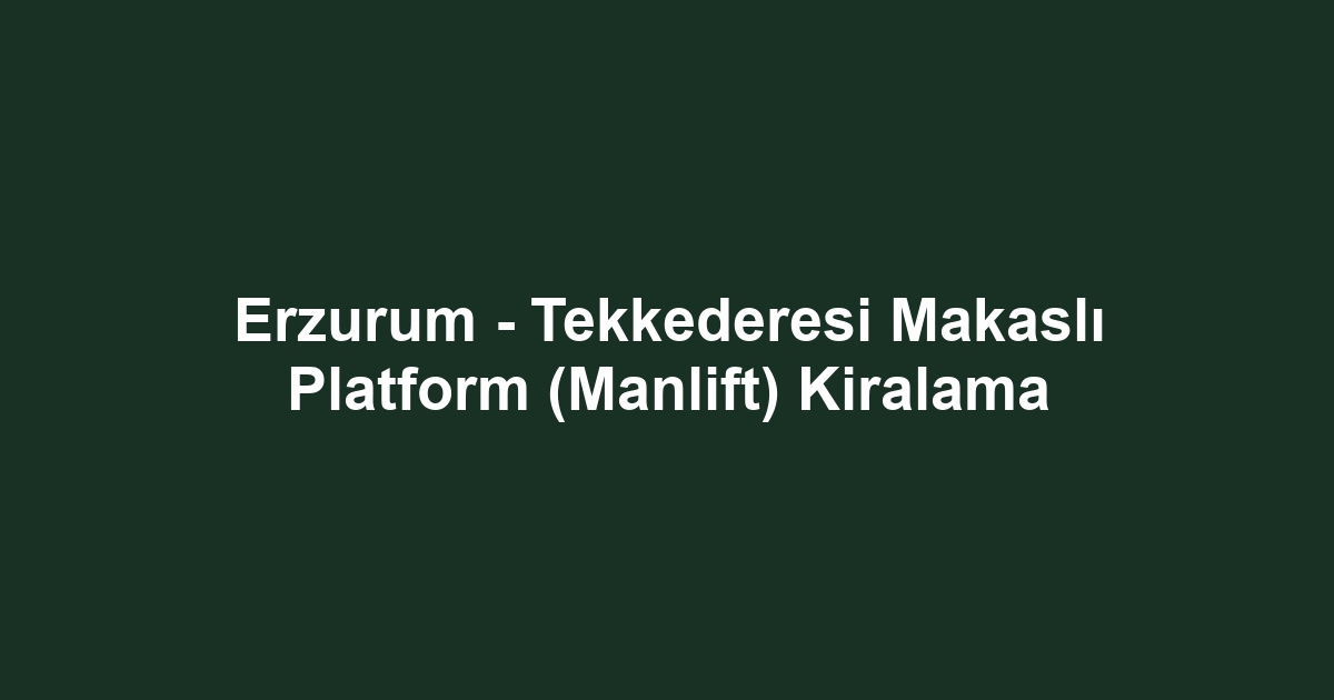 Erzurum - Tekkederesi Makaslı Platform (Manlift) Kiralama