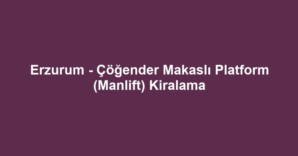 Erzurum - Çöğender Makaslı Platform (Manlift) Kiralama