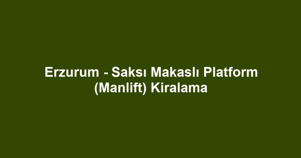 Erzurum - Saksı Makaslı Platform (Manlift) Kiralama
