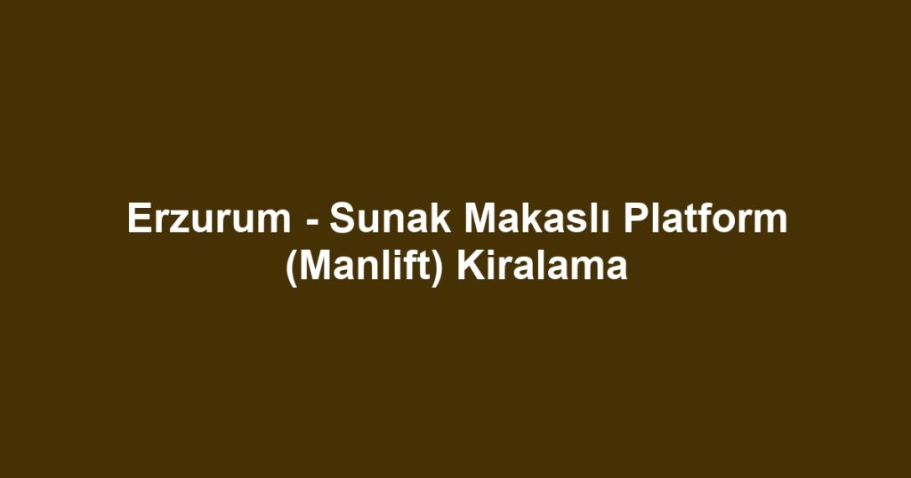 Erzurum - Sunak Makaslı Platform (Manlift) Kiralama