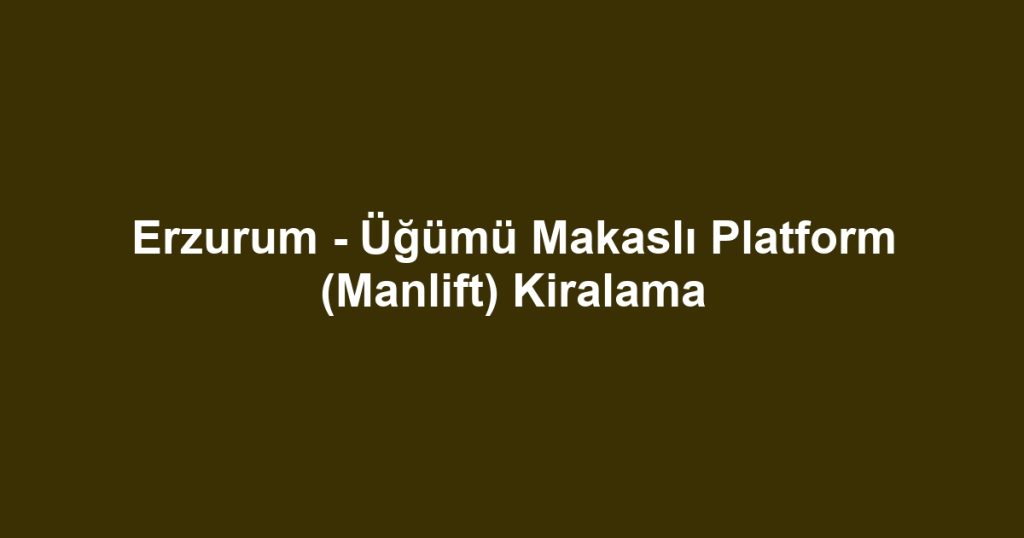 Erzurum - Üğümü Makaslı Platform (Manlift) Kiralama