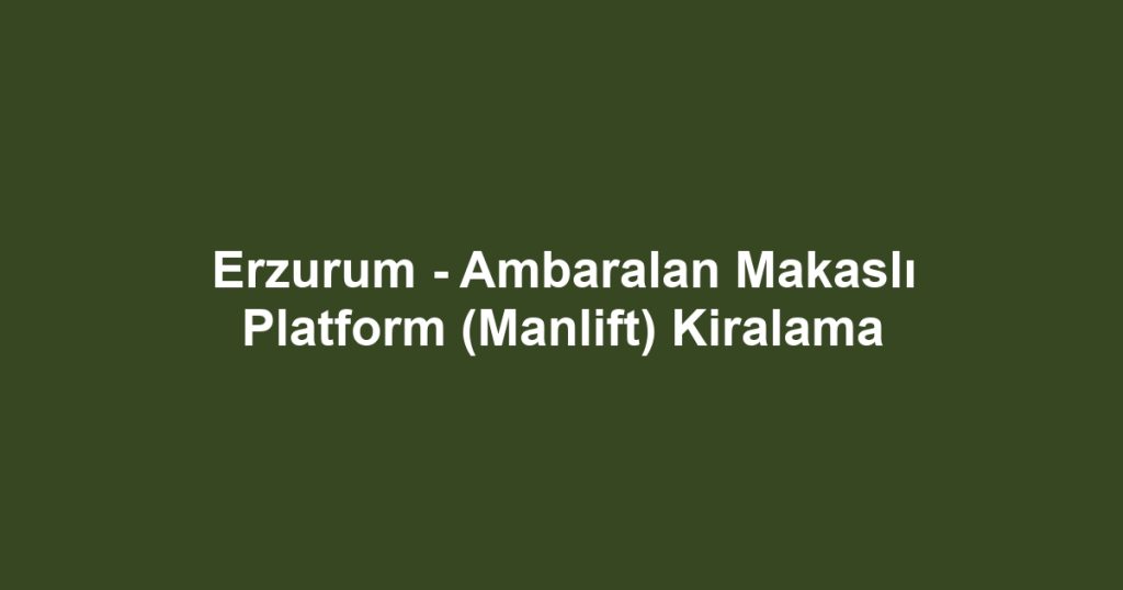 Erzurum - Ambaralan Makaslı Platform (Manlift) Kiralama