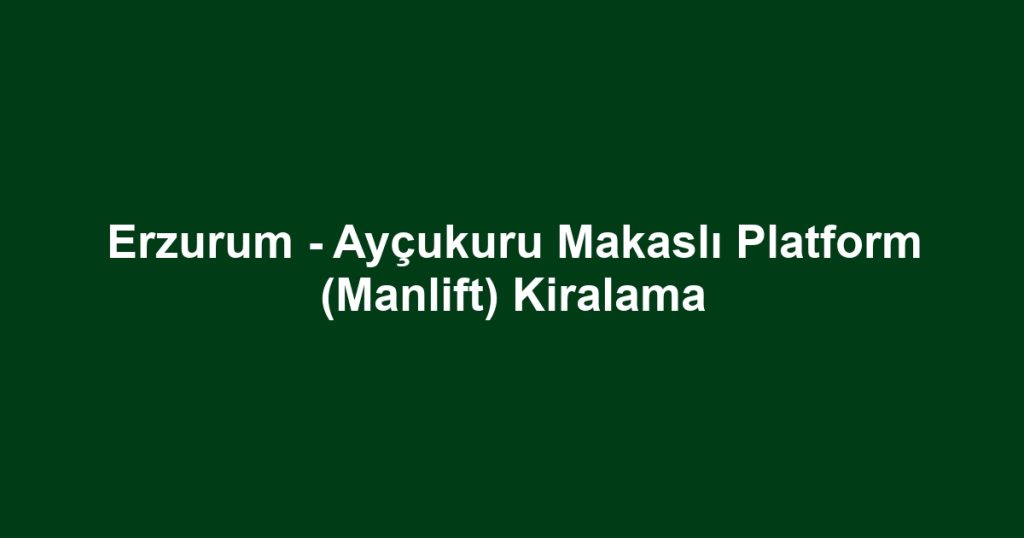 Erzurum - Ayçukuru Makaslı Platform (Manlift) Kiralama