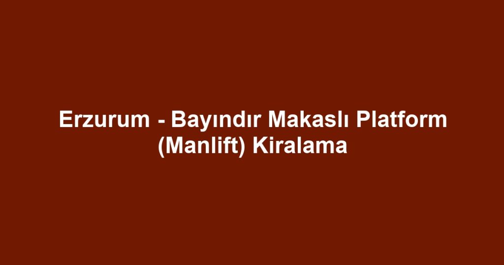 Erzurum - Bayındır Makaslı Platform (Manlift) Kiralama
