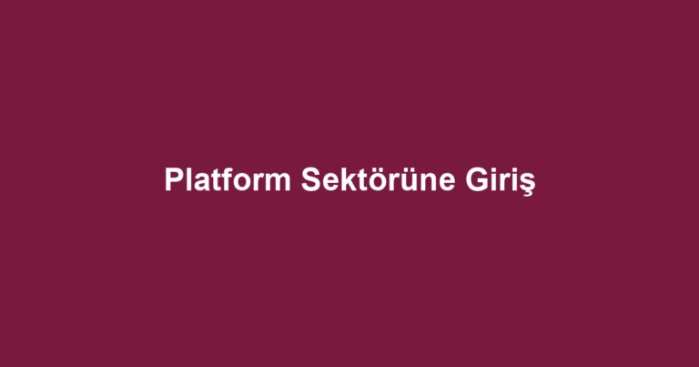 Platform Sektörüne Giriş