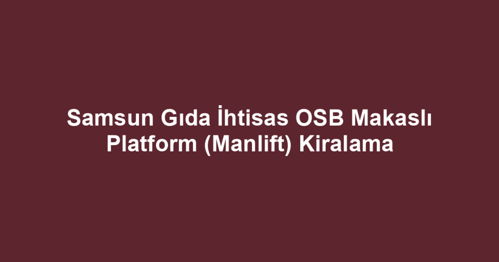 Samsun Gıda İhtisas OSB Makaslı Platform (Manlift) Kiralama
