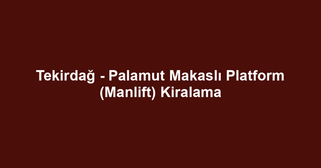 Tekirdağ - Palamut Makaslı Platform (Manlift) Kiralama