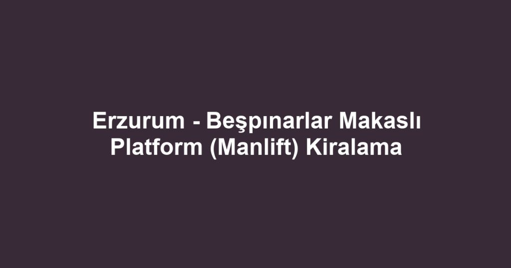 Erzurum - Beşpınarlar Makaslı Platform (Manlift) Kiralama