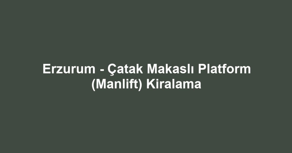 Erzurum - Çatak Makaslı Platform (Manlift) Kiralama
