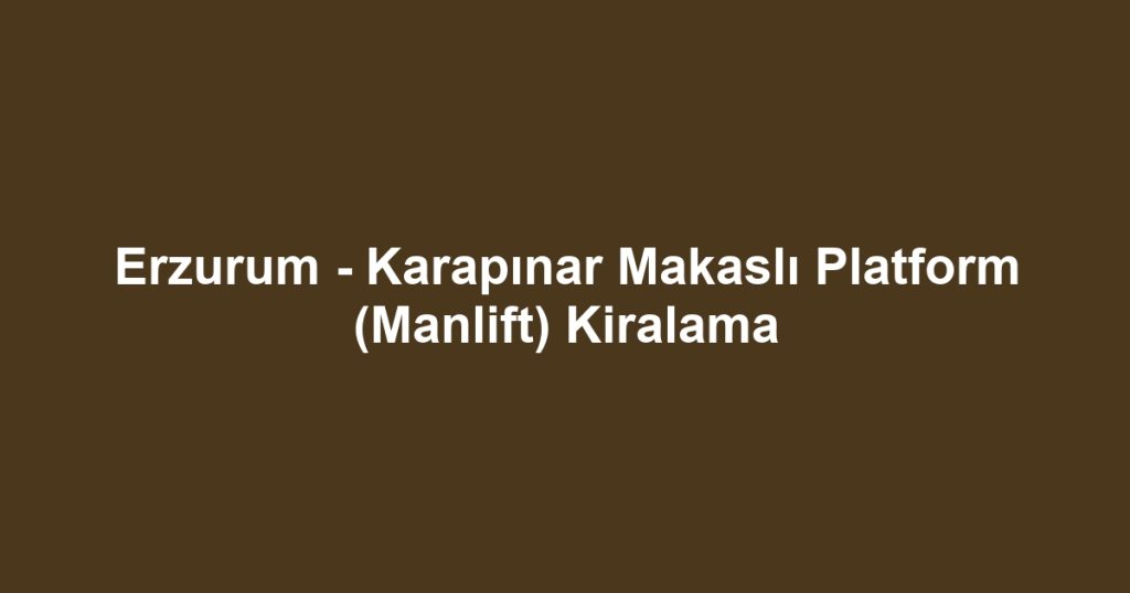 Erzurum - Karapınar Makaslı Platform (Manlift) Kiralama