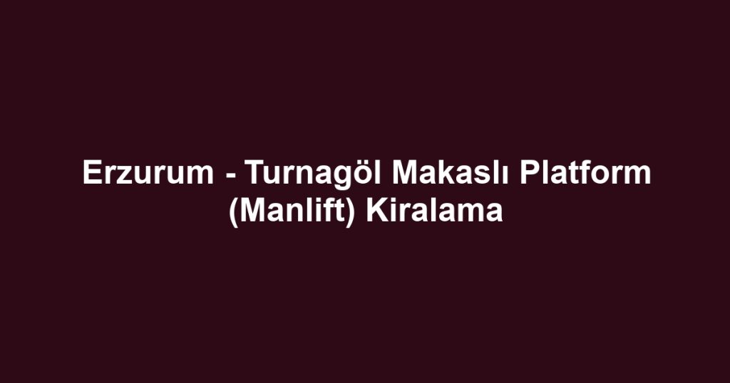 Erzurum - Turnagöl Makaslı Platform (Manlift) Kiralama