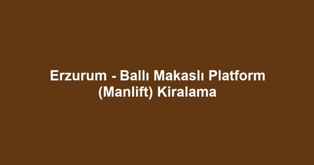 Erzurum - Ballı Makaslı Platform (Manlift) Kiralama