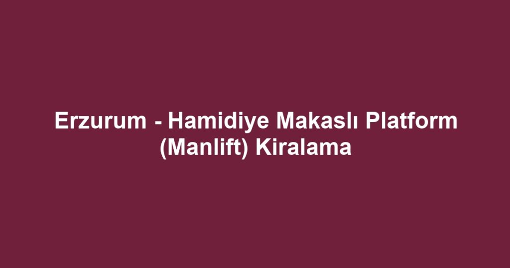 Erzurum - Hamidiye Makaslı Platform (Manlift) Kiralama