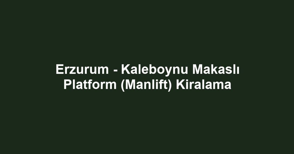 Erzurum - Kaleboynu Makaslı Platform (Manlift) Kiralama
