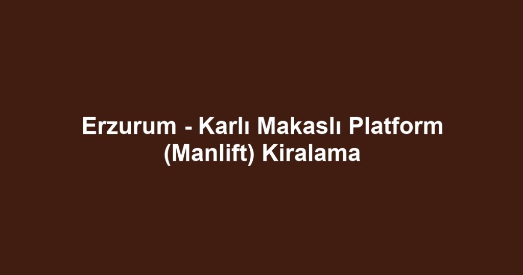 Erzurum - Karlı Makaslı Platform (Manlift) Kiralama