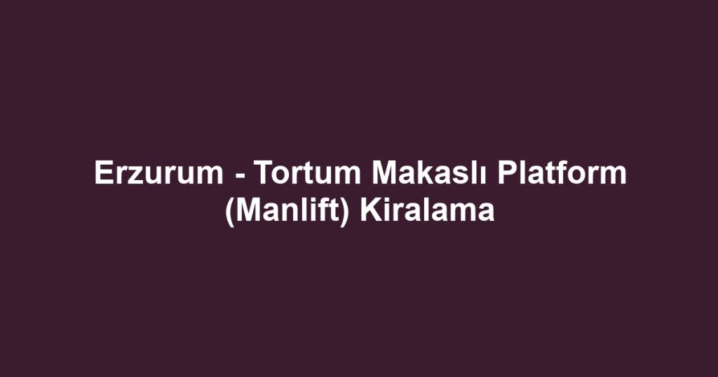 Erzurum - Tortum Makaslı Platform (Manlift) Kiralama