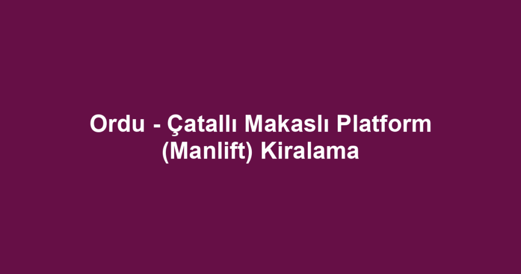 Ordu - Çatallı Makaslı Platform (Manlift) Kiralama