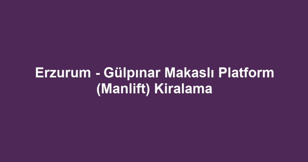 Erzurum - Gülpınar Makaslı Platform (Manlift) Kiralama