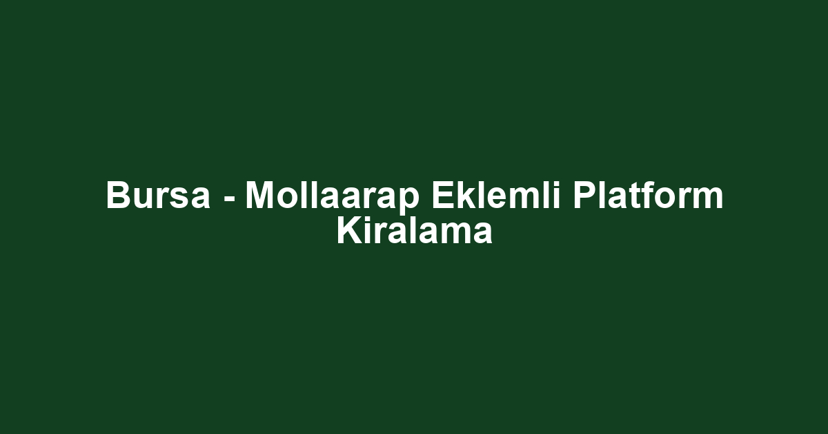 Bursa - Mollaarap Eklemli Platform Kiralama