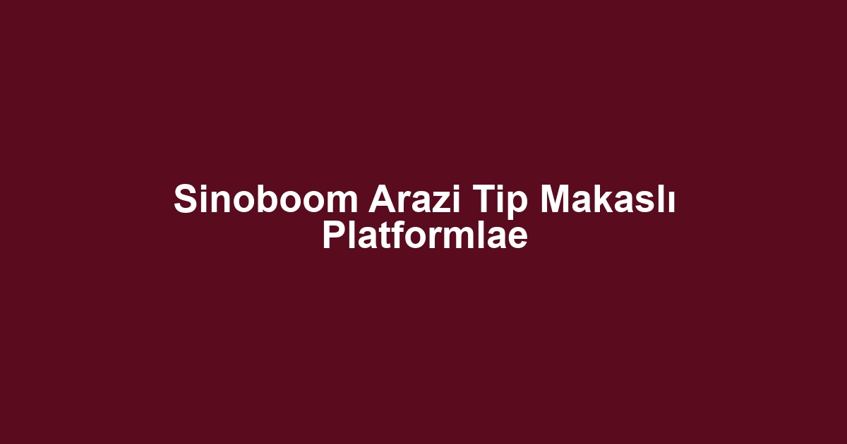 Sinoboom Arazi Tip Makaslı Platformlae